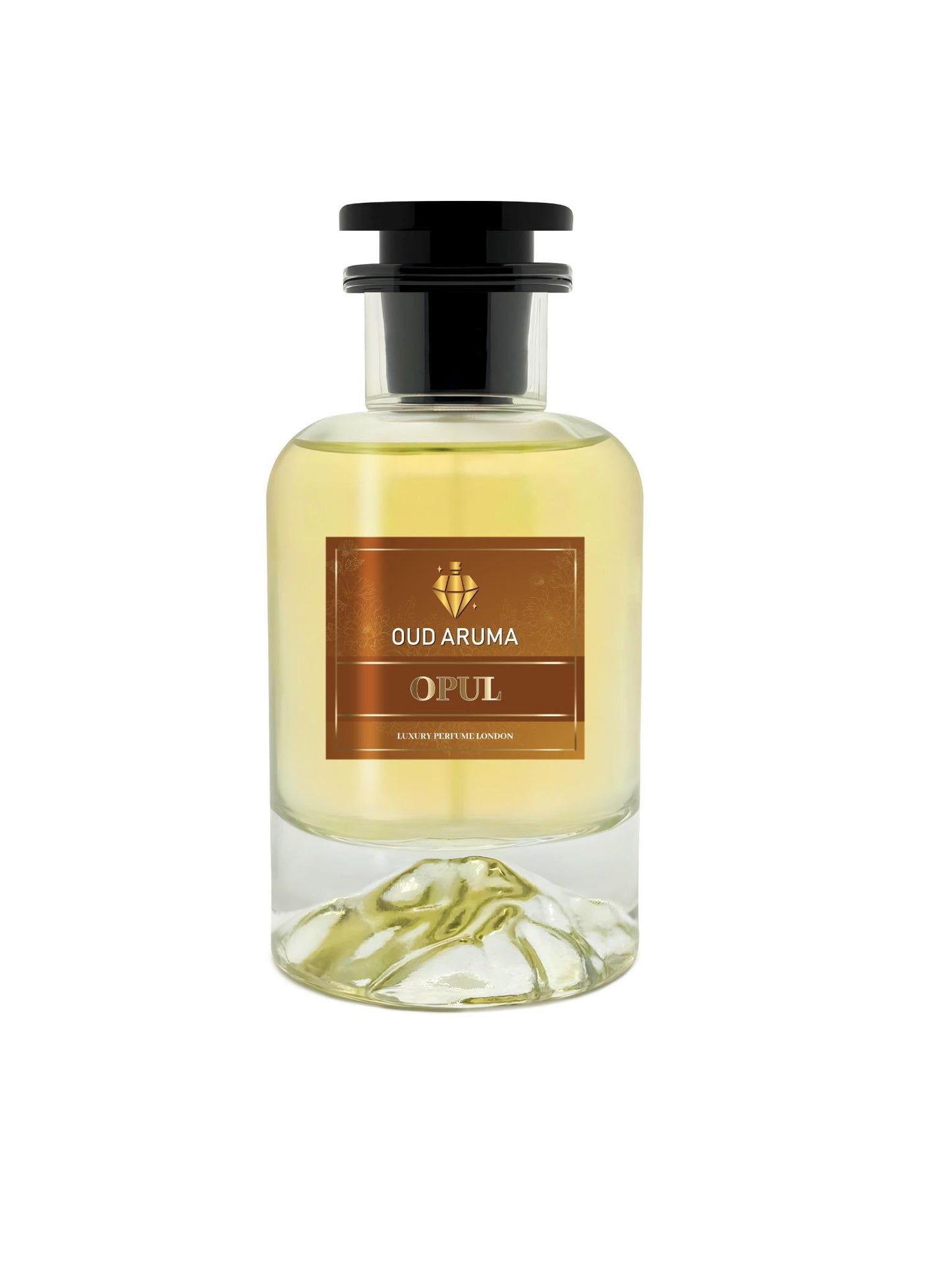 Opul Parfum Spray 100ml Men